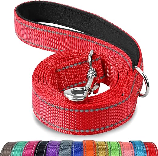 Nylon leash